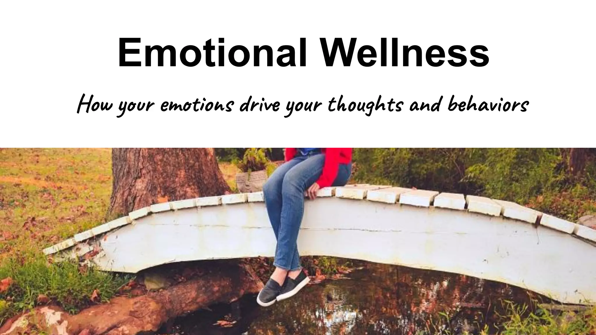 The Importance of Emotional Wellness – Understanding How Your Feelings Shape Your Life